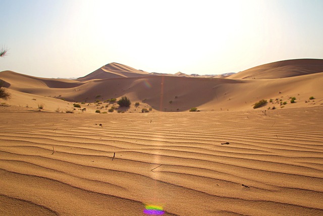 transfer transfer abu dhabi to dubai