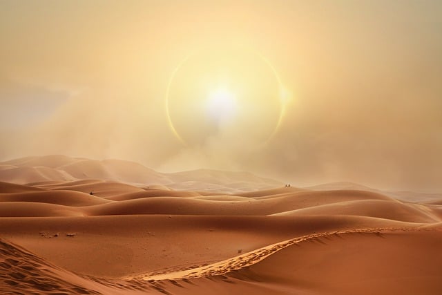 Unleash Luxury: VIP Desert Safari Deals in Dubai