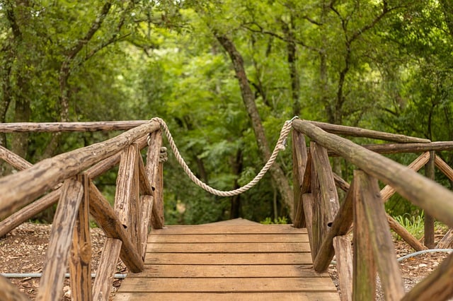 Adventure Park
