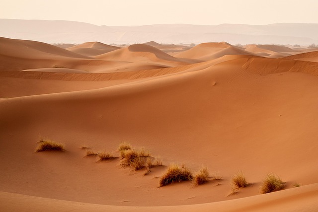 balloon desert