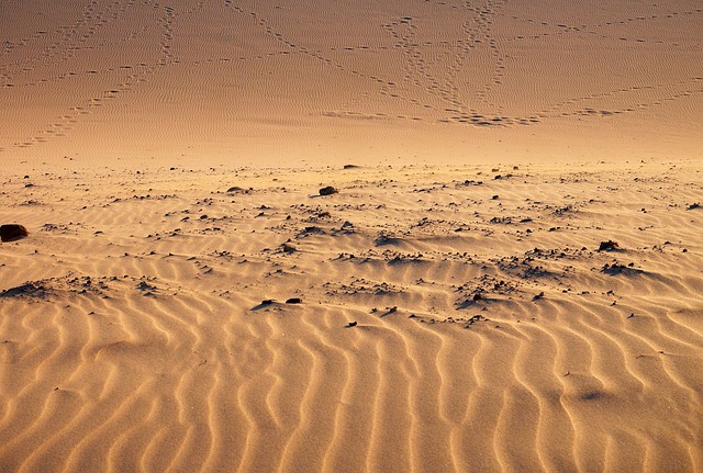 balloon desert