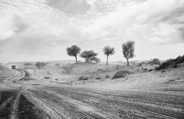 balloon desert