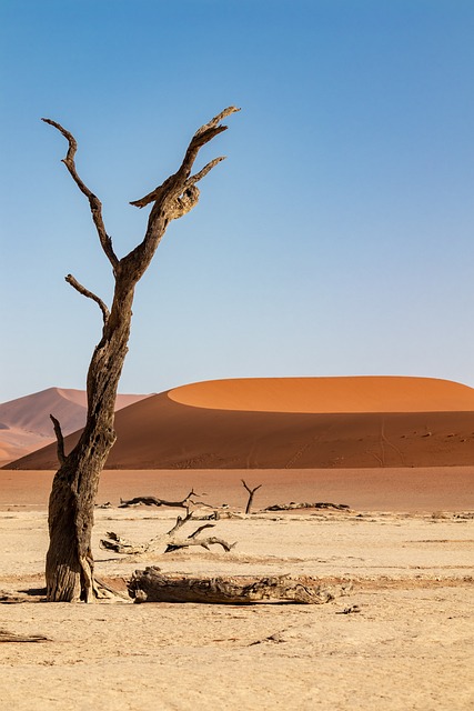 balloon desert