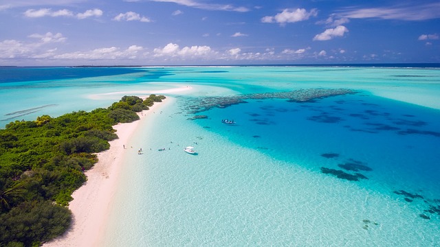 Beach Limo Rental