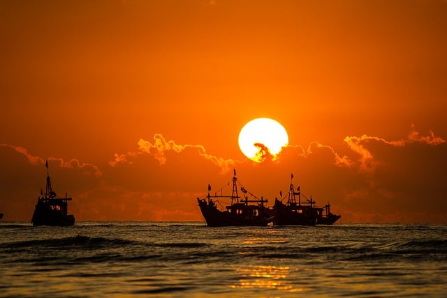 boat charter