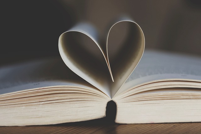 book yacht