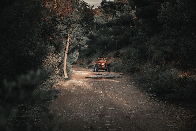buggy adventure