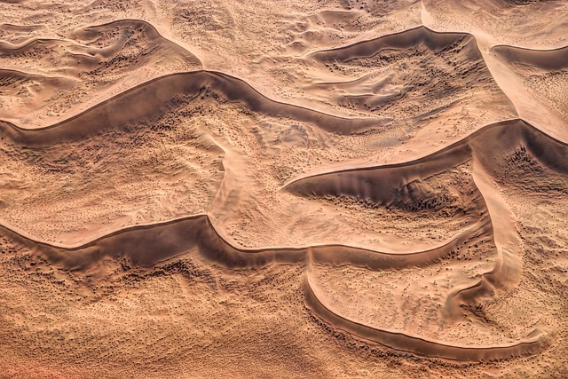buggy desert