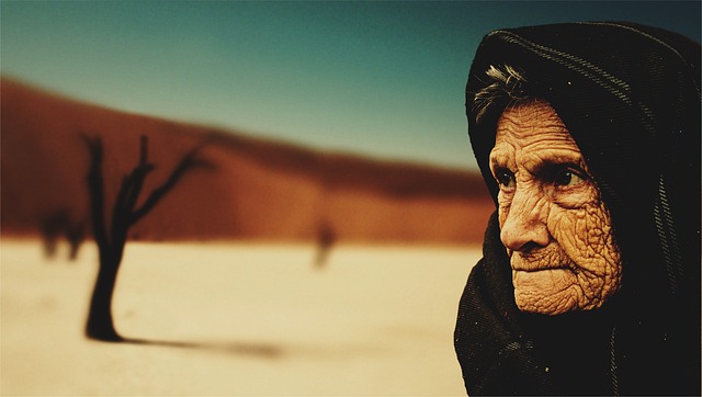 buggy desert