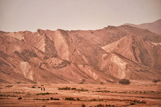 buggy desert