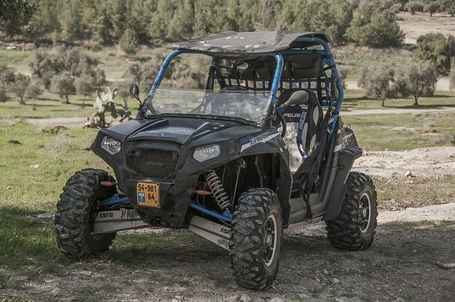 buggy driving