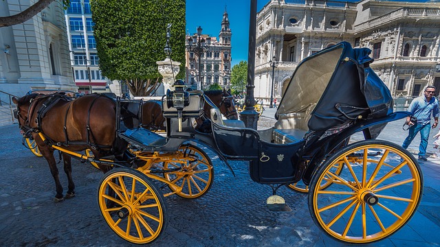 buggy ride