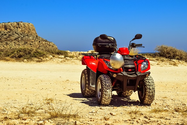 buggy ride