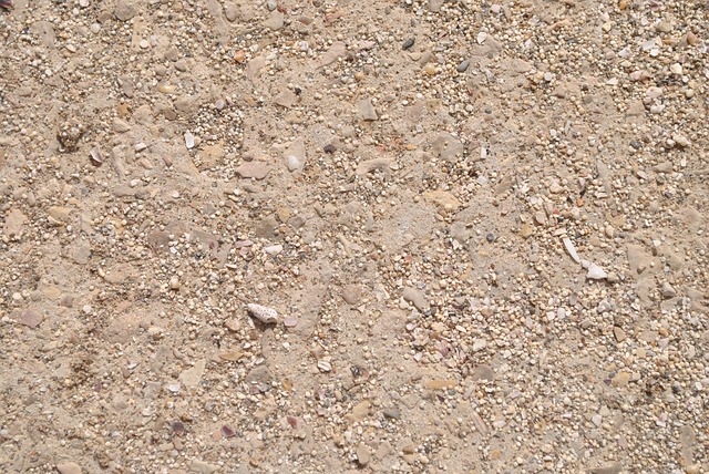 buggy-sand-640x480-69165335.jpeg