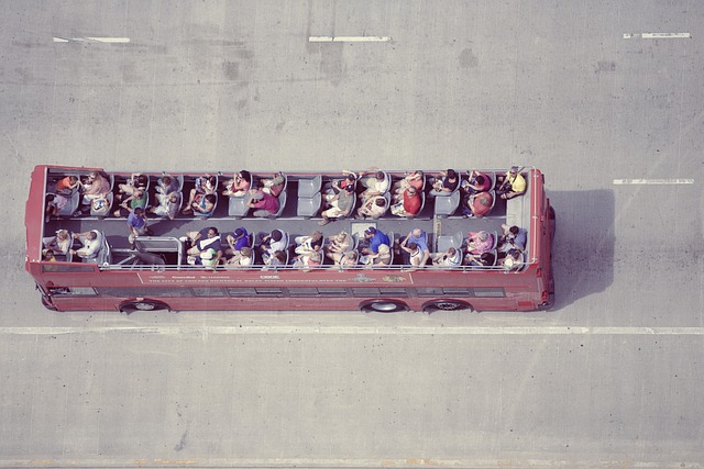 buggy tours