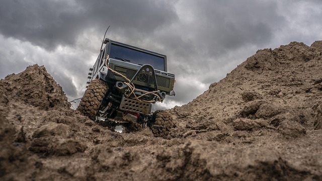 buggy tours