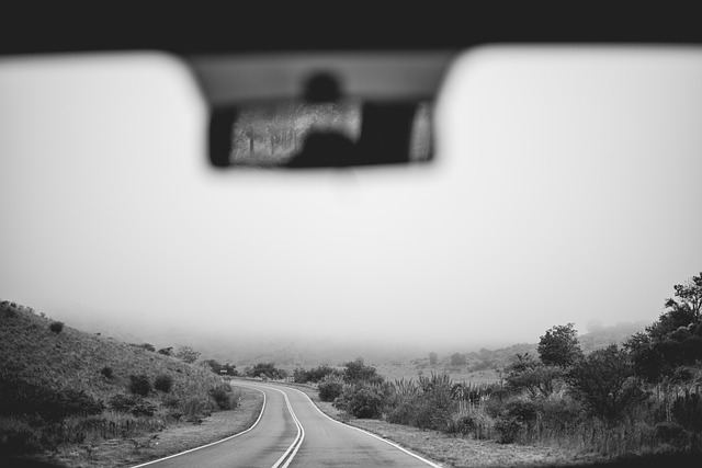 buggy trip