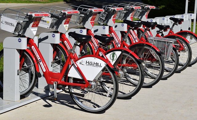 Bus rental