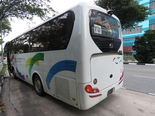 Bus rental