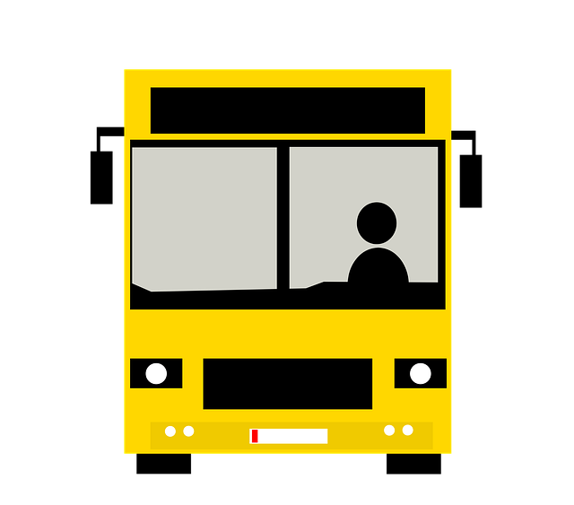 Bus Tours