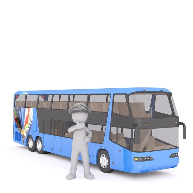 Bus Tours