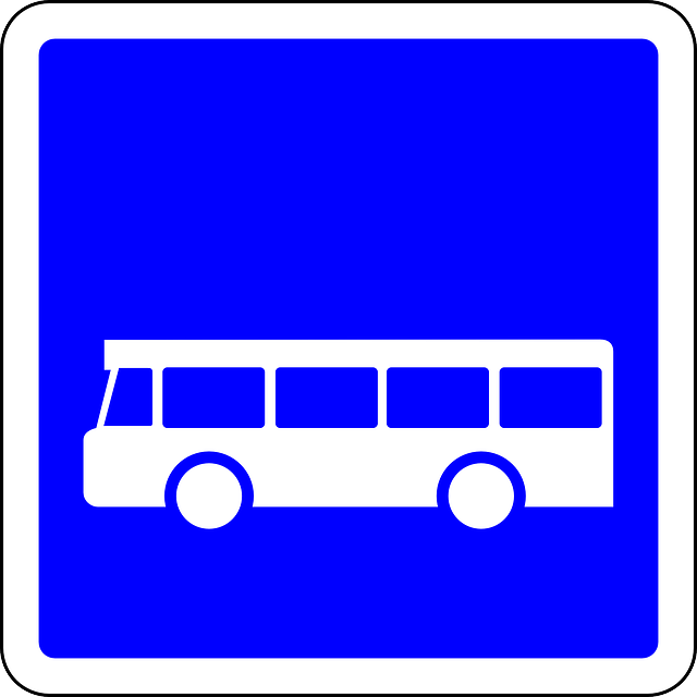Bus Tours