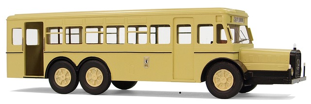 buses