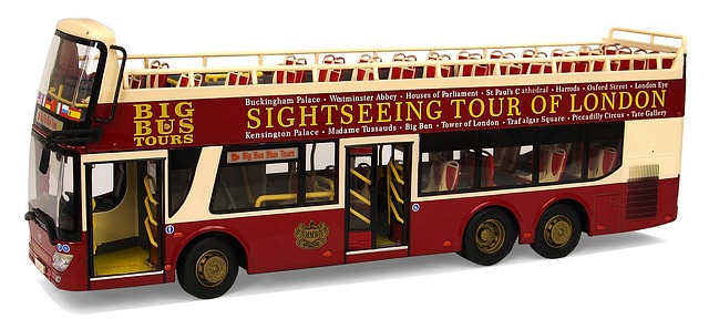 buses