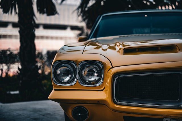 cars rental