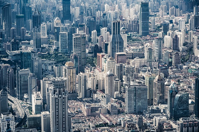 city tou