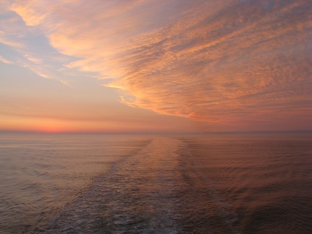 cruise booking