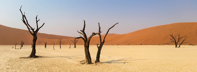 desert