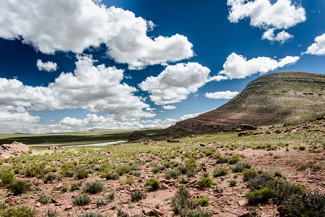 Desert