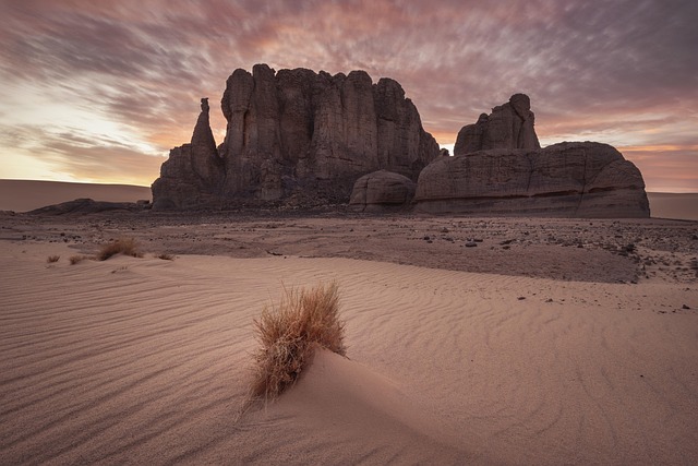 desert balloon