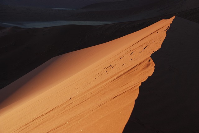 Desert Buggy Adventures: Navigating Dubai’s Sand Dunes Safely and Sustainably