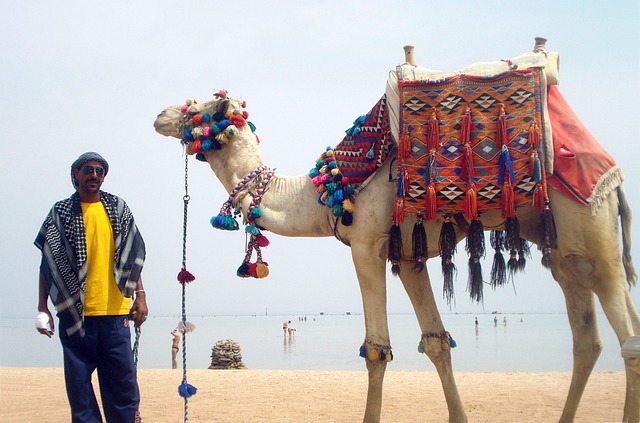 Experience Peaceful Desert Trekking with a Camel Ride in Dubai