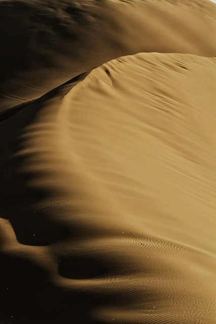 Dubai’s Desert Speed Machines: The Evolution of Dune Buggies