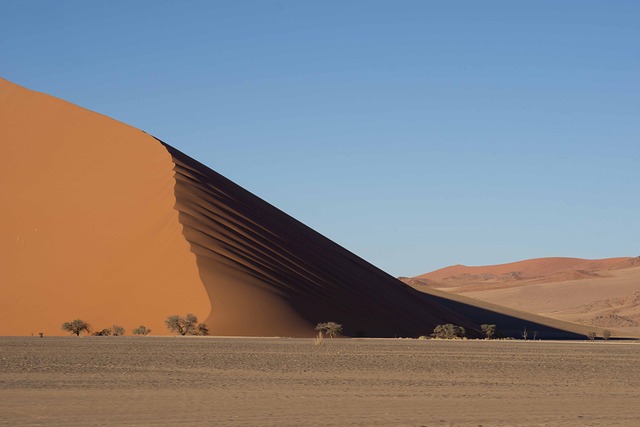 desert dune buggy