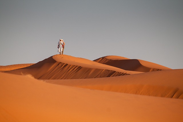 Dubai Desert Quad Ride: Navigating Sand with Excitement and Safety