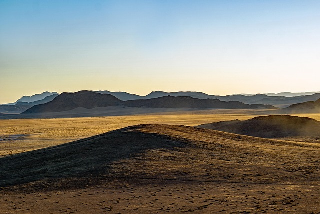 desert safari