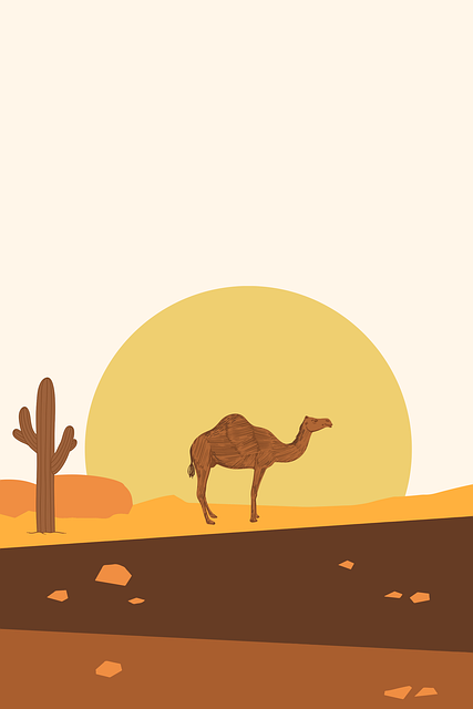 Discover Dubai’s Deserts: Affordable All-Inclusive Safari Tours for an Unforgettable Adventure