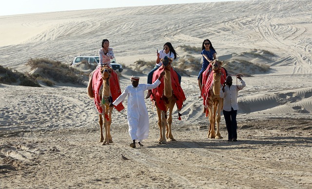 desert safari