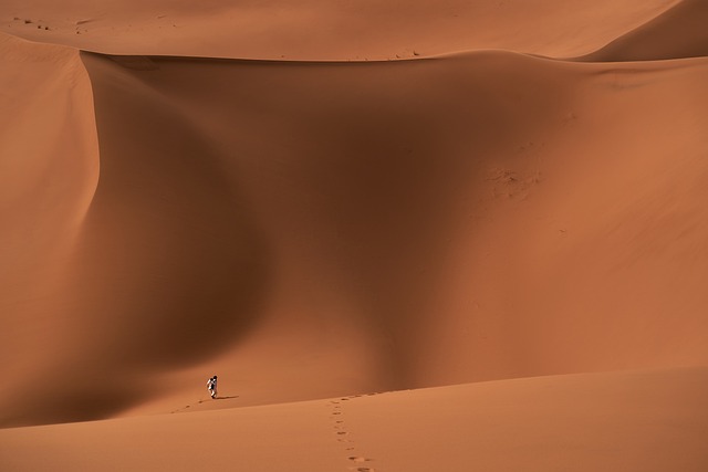 Discovering Dubai’s Desert: Unforgettable Dune Bashing Safaris