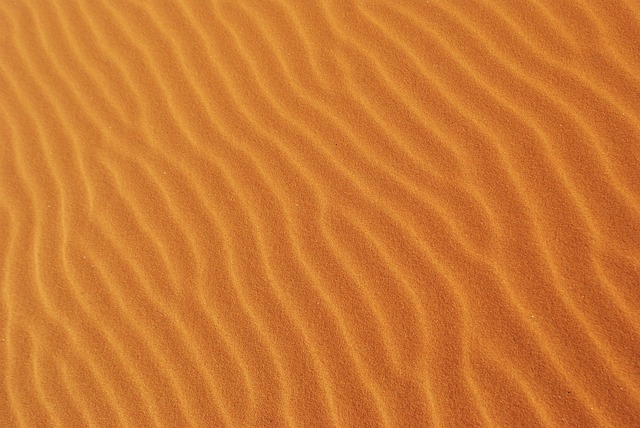 Desert Safari