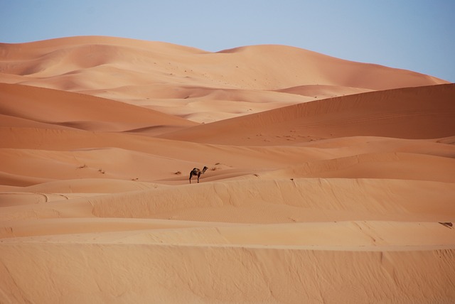 desert safari