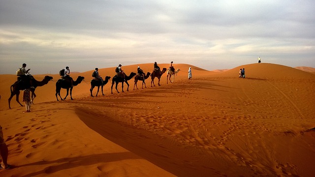 Experience Dubai’s Magic: Sunset Camel Rides & Desert Safari Packages