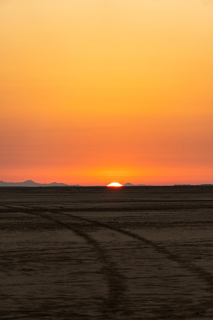 Desert Safari Dining: Unveiling Dubai’s Cultural Culinary Traditions