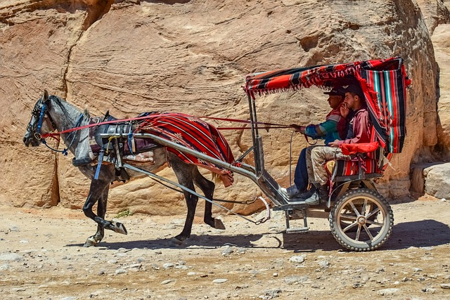 Affordable Desert Safari Adventures: Tips for Cost-Effective Dubai Trips