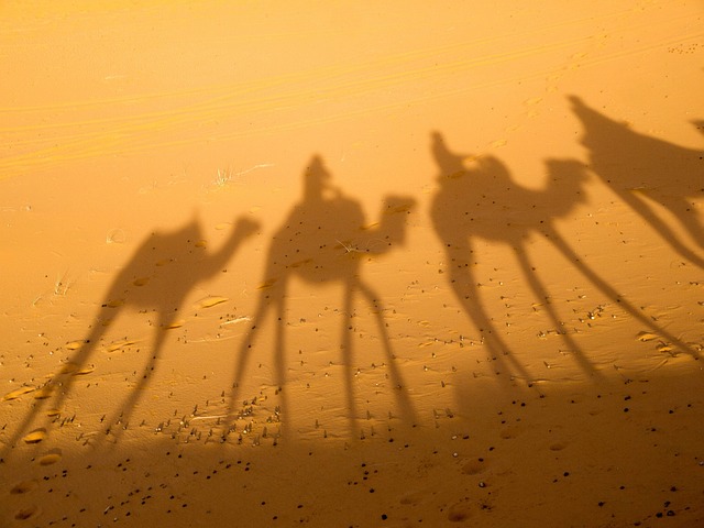 Dubai Desert Safari: Adventure, Beauty, and Safety on Dunes