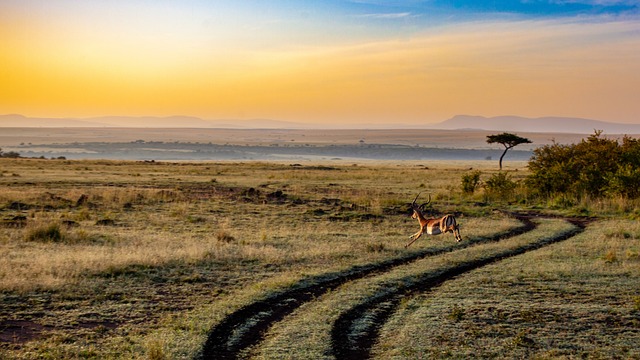 Discover Dubai’s Desert: Sunset Quad Bike Safari Guide